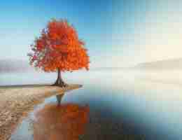 快﻿速‍搭‍建‌网‍站﻿的‌工‍具‌